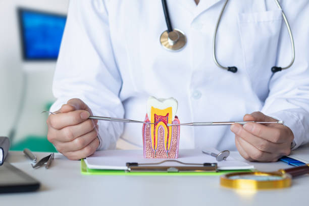 Best Emergency Denture Repair in Coleman, TX